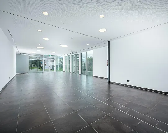 odeon_fmp3715bearbeitet.jpg