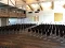 palladium_kino_rund_img_7852.jpg